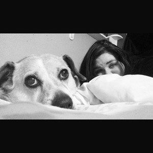 Meet your Posher, Sydney